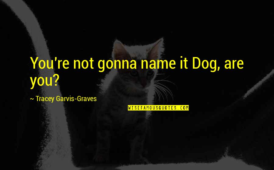 Duchampian Pissoir Quotes By Tracey Garvis-Graves: You're not gonna name it Dog, are you? Duchampian Pissoir Quotes By Tracey Garvis-Graves: You're not gonna name it Dog, are you?