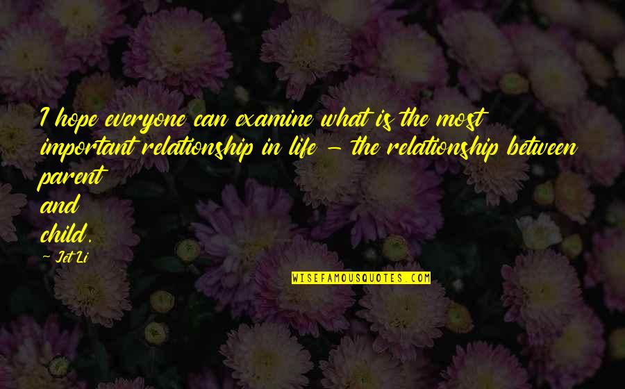 Duchemin Family Quotes By Jet Li: I hope everyone can examine what is the