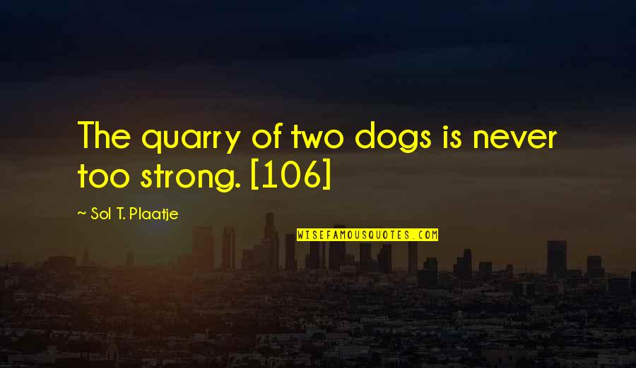 Duck Dynasty John Luke Quotes By Sol T. Plaatje: The quarry of two dogs is never too Duck Dynasty John Luke Quotes By Sol T. Plaatje: The quarry of two dogs is never too