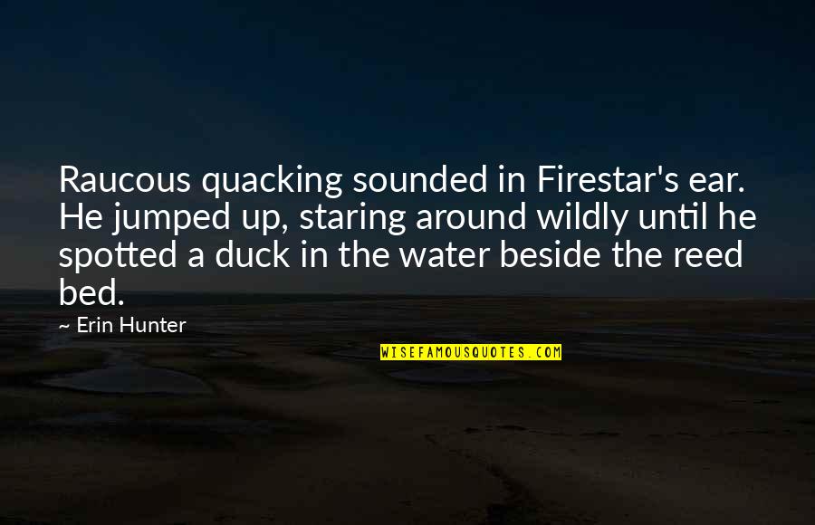 Duck In Water Quotes By Erin Hunter: Raucous quacking sounded in Firestar's ear. He jumped