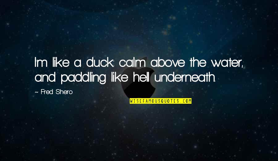 Duck In Water Quotes By Fred Shero: I'm like a duck: calm above the water,