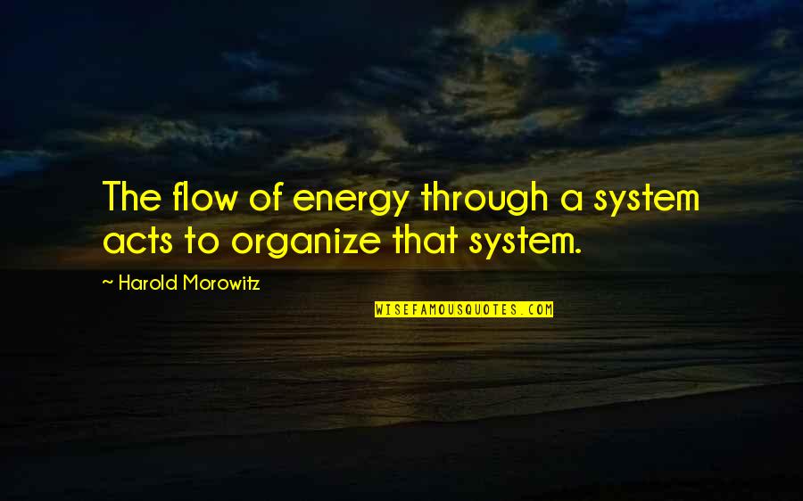 Duck In Water Quotes By Harold Morowitz: The flow of energy through a system acts