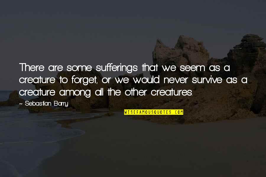 Duck Tales Quotes By Sebastian Barry: There are some sufferings that we seem as