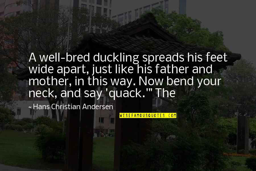 Duckling Quotes By Hans Christian Andersen: A well-bred duckling spreads his feet wide apart,