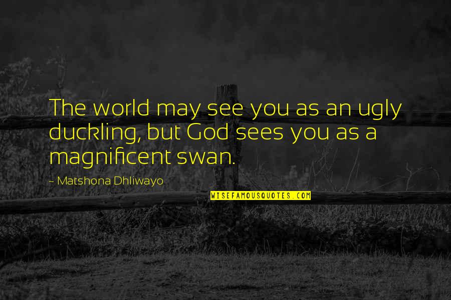 Duckling Quotes By Matshona Dhliwayo: The world may see you as an ugly