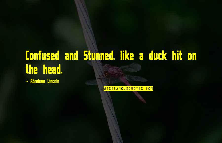 Ducks Quotes By Abraham Lincoln: Confused and Stunned, like a duck hit on