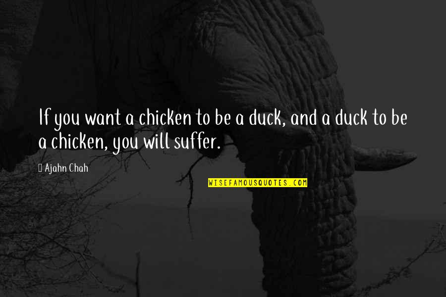 Ducks Quotes By Ajahn Chah: If you want a chicken to be a