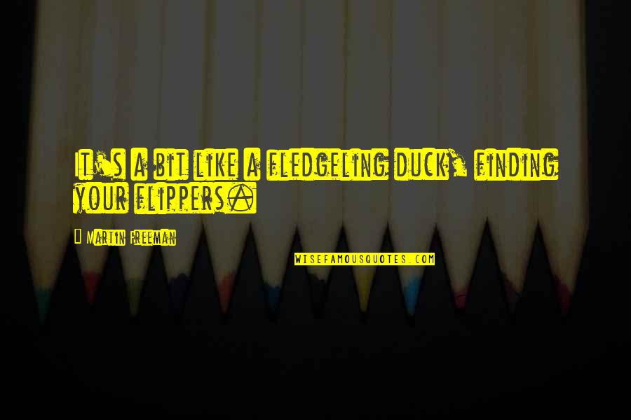 Ducks Quotes By Martin Freeman: It's a bit like a fledgeling duck, finding