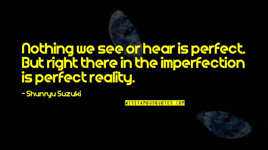 Ducos Laurence Quotes By Shunryu Suzuki: Nothing we see or hear is perfect. But