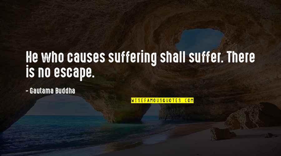 Dude Ranch Quotes By Gautama Buddha: He who causes suffering shall suffer. There is