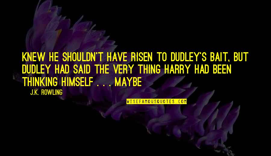 Dudley's Quotes By J.K. Rowling: knew he shouldn't have risen to Dudley's bait, Dudley's Quotes By J.K. Rowling: knew he shouldn't have risen to Dudley's bait,