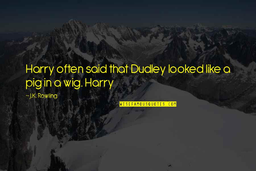 Dudley's Quotes By J.K. Rowling: Harry often said that Dudley looked like a