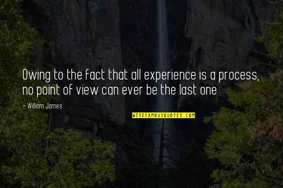 Duele Amar Quotes By William James: Owing to the fact that all experience is