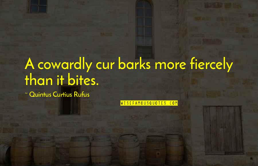 Duelling Quotes By Quintus Curtius Rufus: A cowardly cur barks more fiercely than it