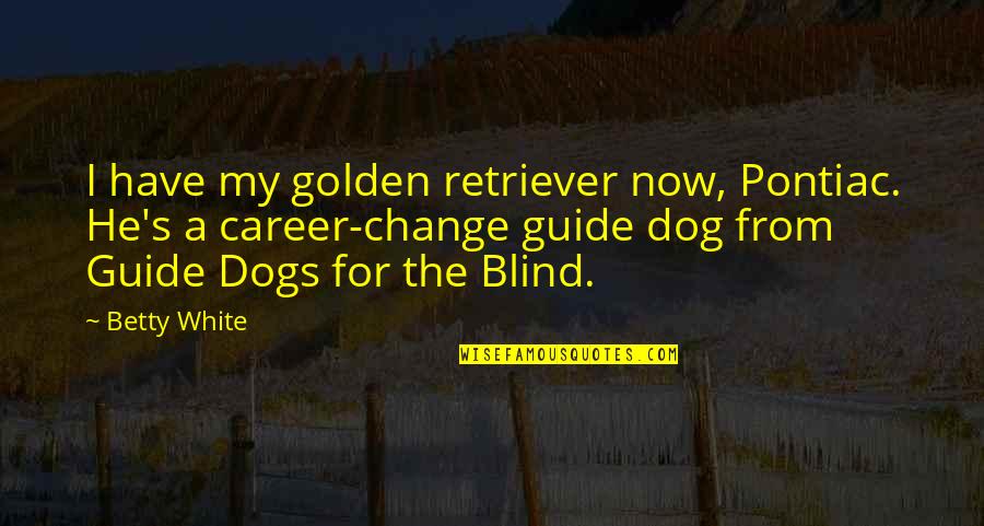 Dueltek Quotes By Betty White: I have my golden retriever now, Pontiac. He's Dueltek Quotes By Betty White: I have my golden retriever now, Pontiac. He's