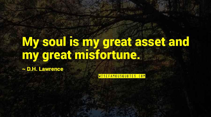 Duelund Dca16ga Quotes By D.H. Lawrence: My soul is my great asset and my Duelund Dca16ga Quotes By D.H. Lawrence: My soul is my great asset and my