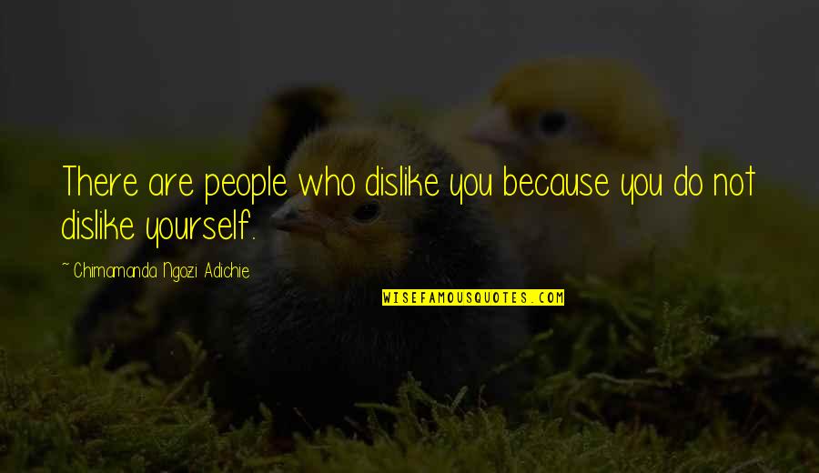 Duenas Iloilo Quotes By Chimamanda Ngozi Adichie: There are people who dislike you because you