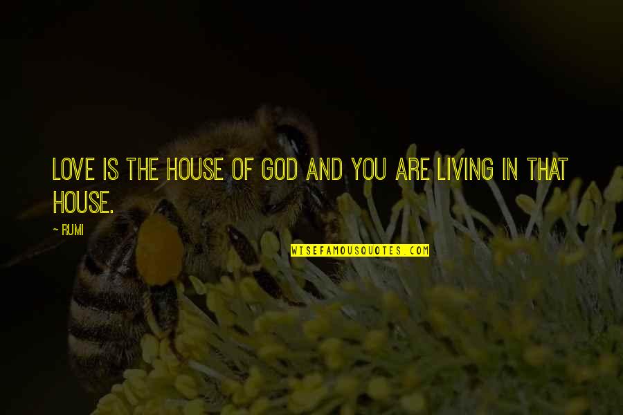 Duener Quotes By Rumi: Love is the house of God and you