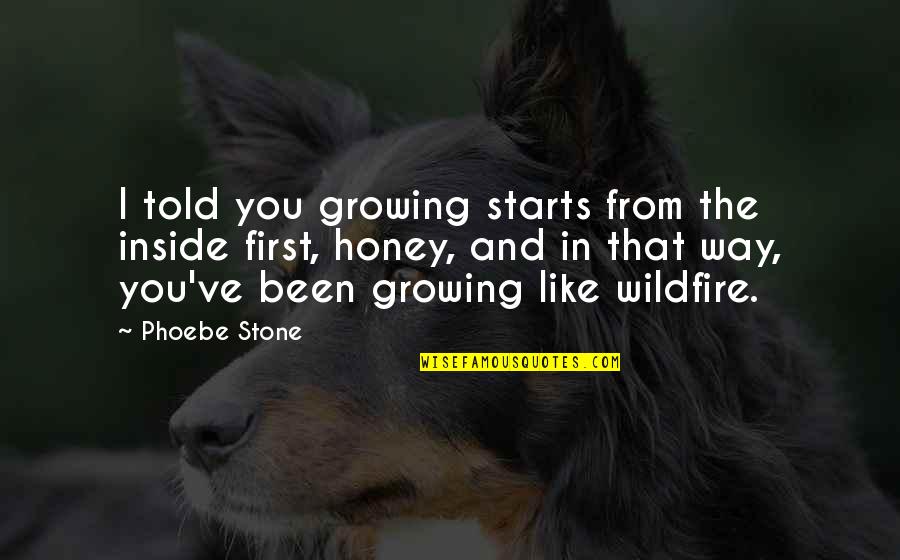 Duensing Field Quotes By Phoebe Stone: I told you growing starts from the inside
