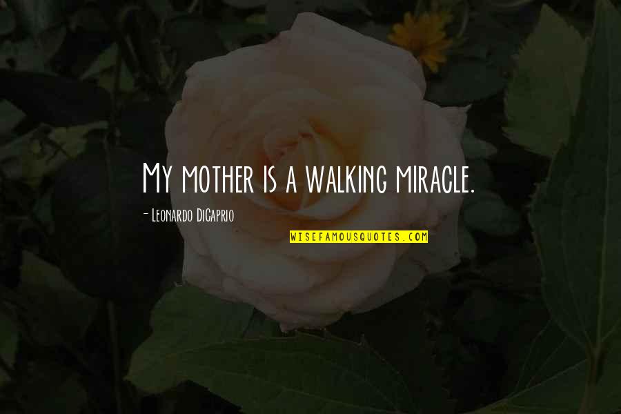 Dufault Jewelry Quotes By Leonardo DiCaprio: My mother is a walking miracle.