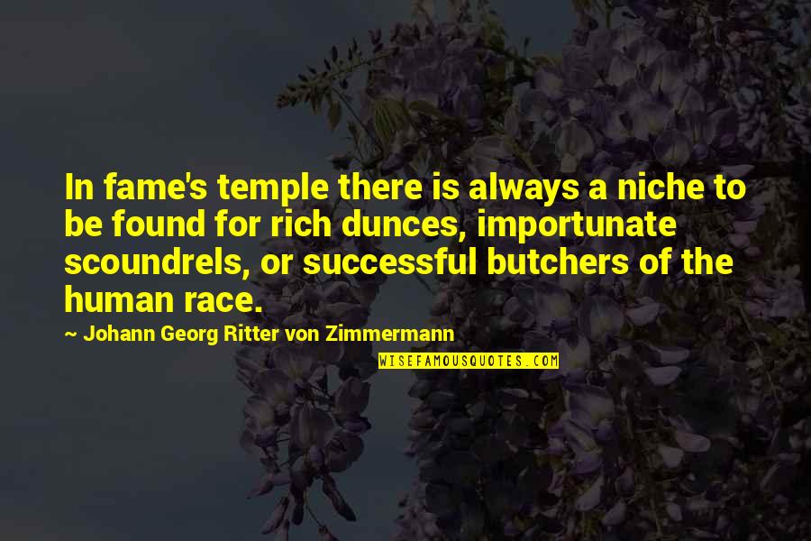 Duffils Quotes By Johann Georg Ritter Von Zimmermann: In fame's temple there is always a niche