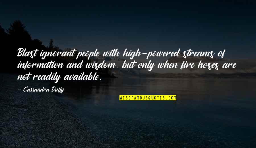 Duffy Quotes By Cassandra Duffy: Blast ignorant people with high-powered streams of information Duffy Quotes By Cassandra Duffy: Blast ignorant people with high-powered streams of information