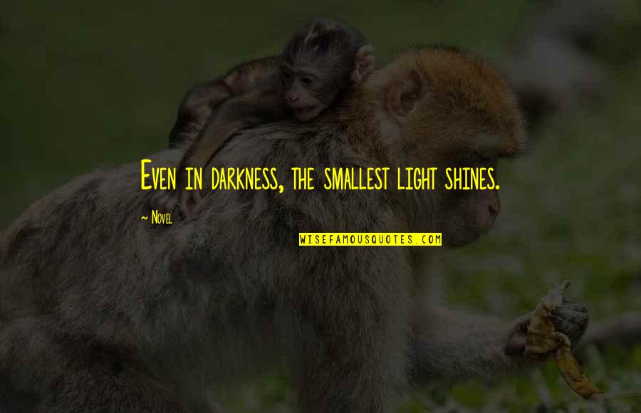 Dufy Prints Quotes By Novel: Even in darkness, the smallest light shines.
