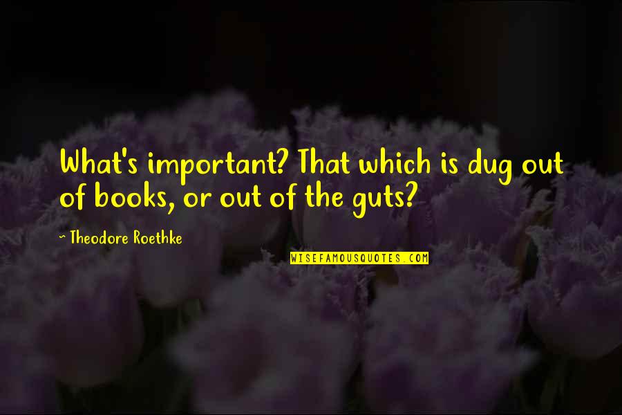 Dug From Up Quotes By Theodore Roethke: What's important? That which is dug out of