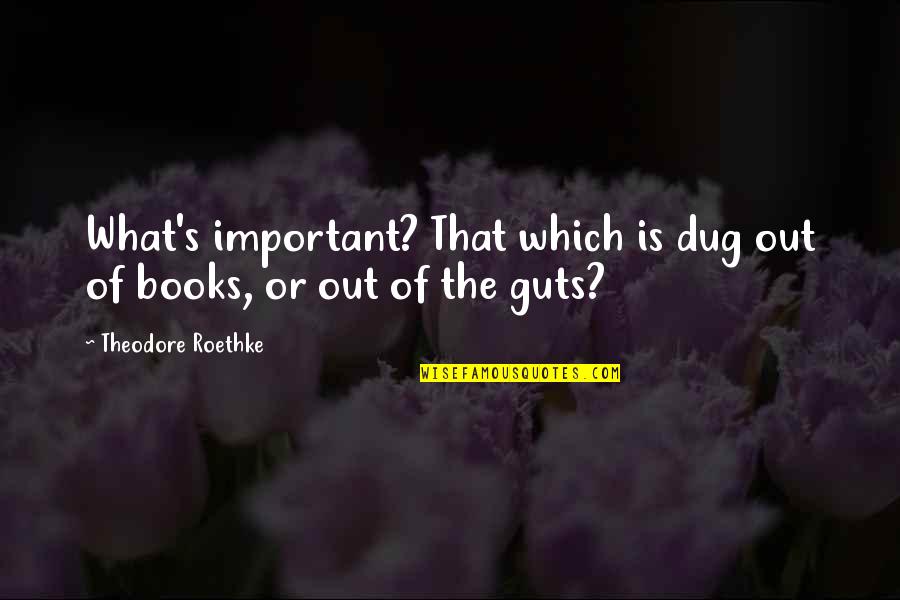 Dug Quotes By Theodore Roethke: What's important? That which is dug out of