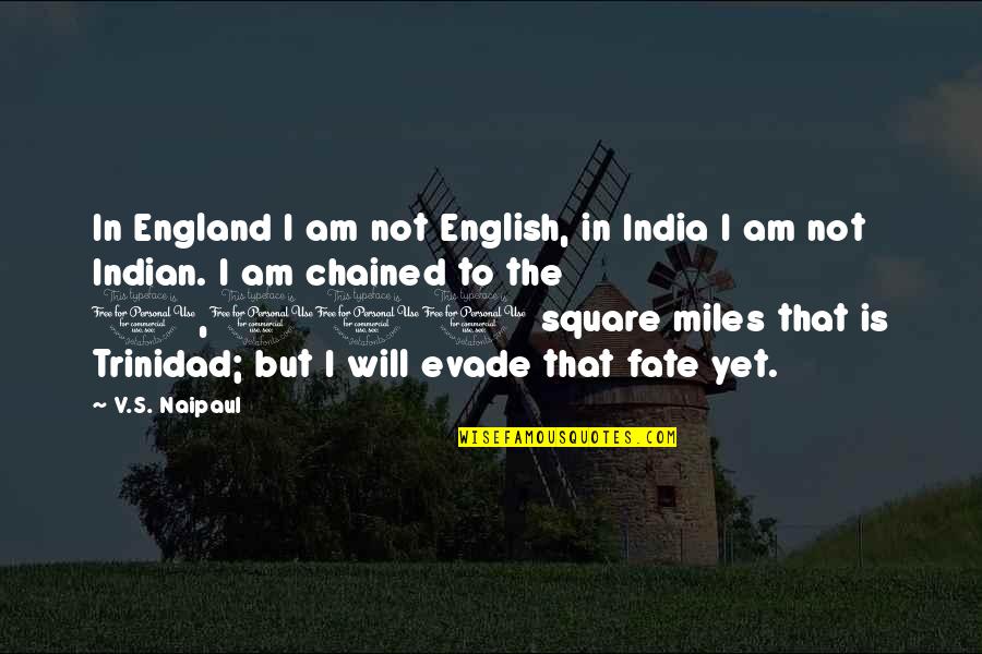 Duhamel And Fergie Quotes By V.S. Naipaul: In England I am not English, in India