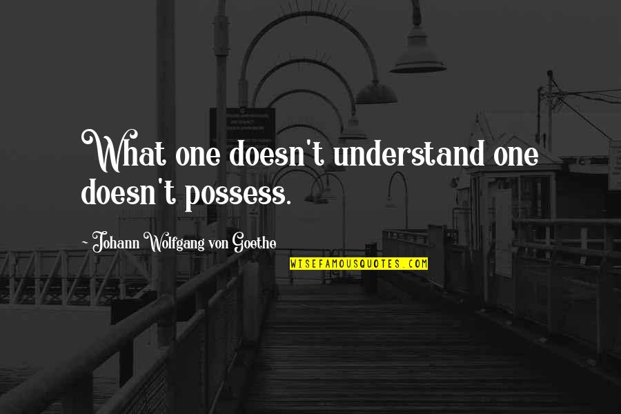 Duhovni Zivot Quotes By Johann Wolfgang Von Goethe: What one doesn't understand one doesn't possess.