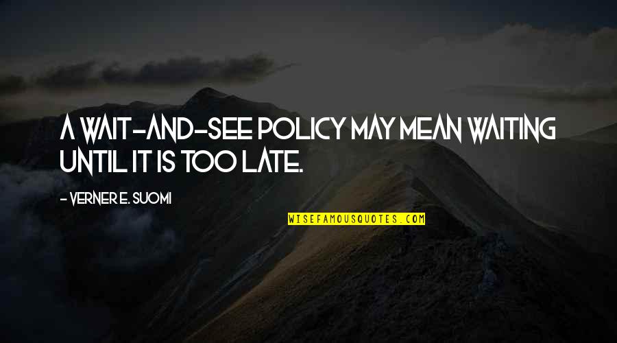 Duke Frederick Quotes By Verner E. Suomi: A wait-and-see policy may mean waiting until it Duke Frederick Quotes By Verner E. Suomi: A wait-and-see policy may mean waiting until it