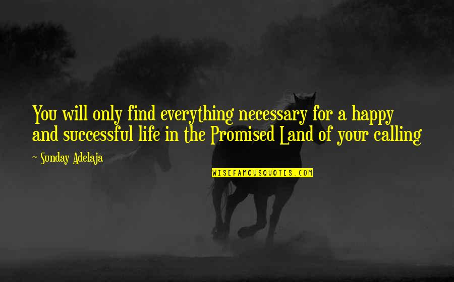 Dulcie Gray Quotes By Sunday Adelaja: You will only find everything necessary for a