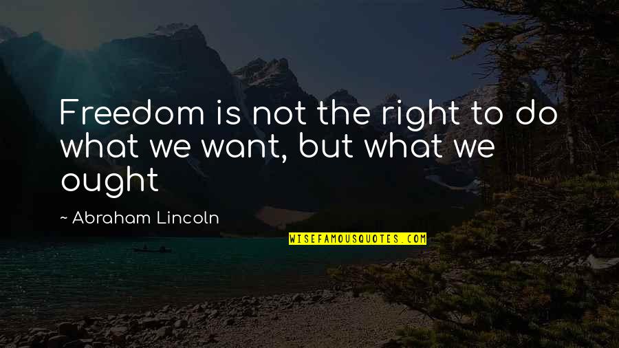 Dulcinea Quotes By Abraham Lincoln: Freedom is not the right to do what