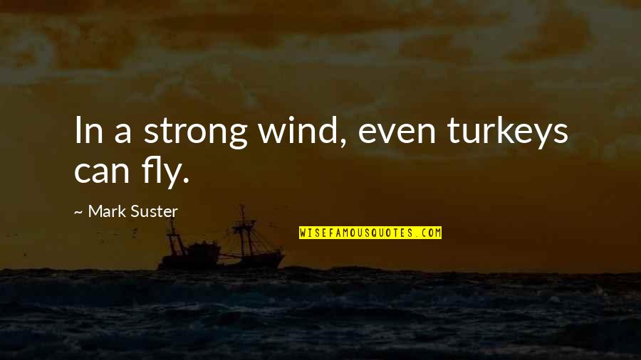 Dulst Leuven Quotes By Mark Suster: In a strong wind, even turkeys can fly.