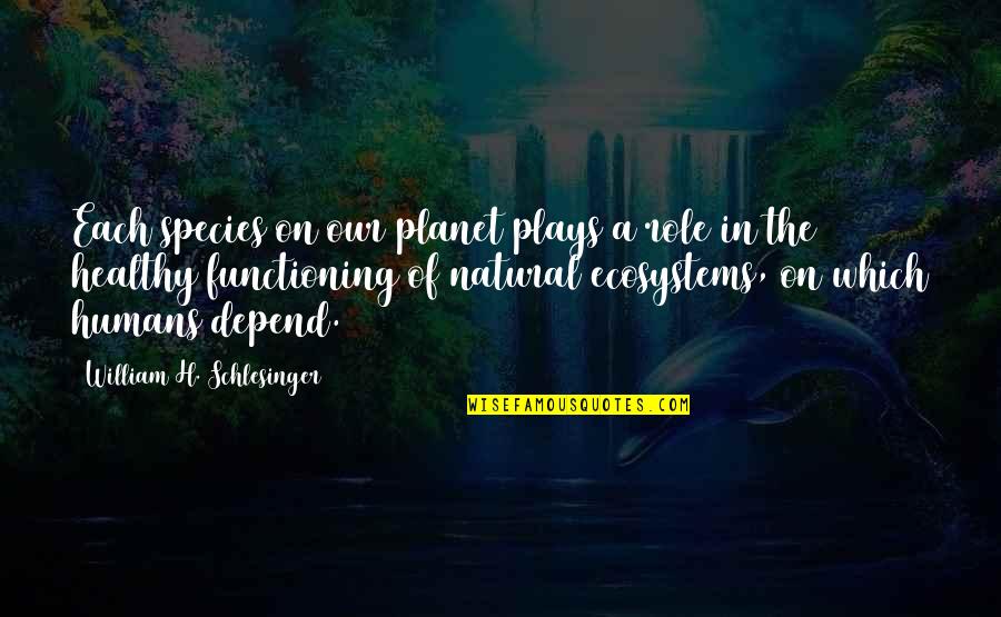 Duma Boko Quotes By William H. Schlesinger: Each species on our planet plays a role Duma Boko Quotes By William H. Schlesinger: Each species on our planet plays a role