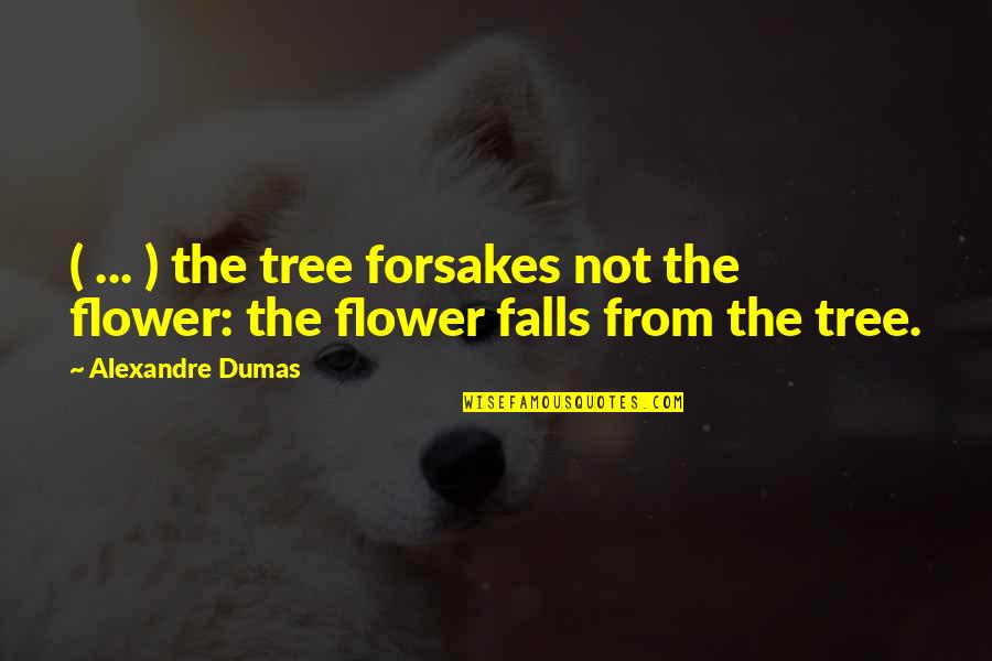 Dumas's Quotes By Alexandre Dumas: ( ... ) the tree forsakes not the