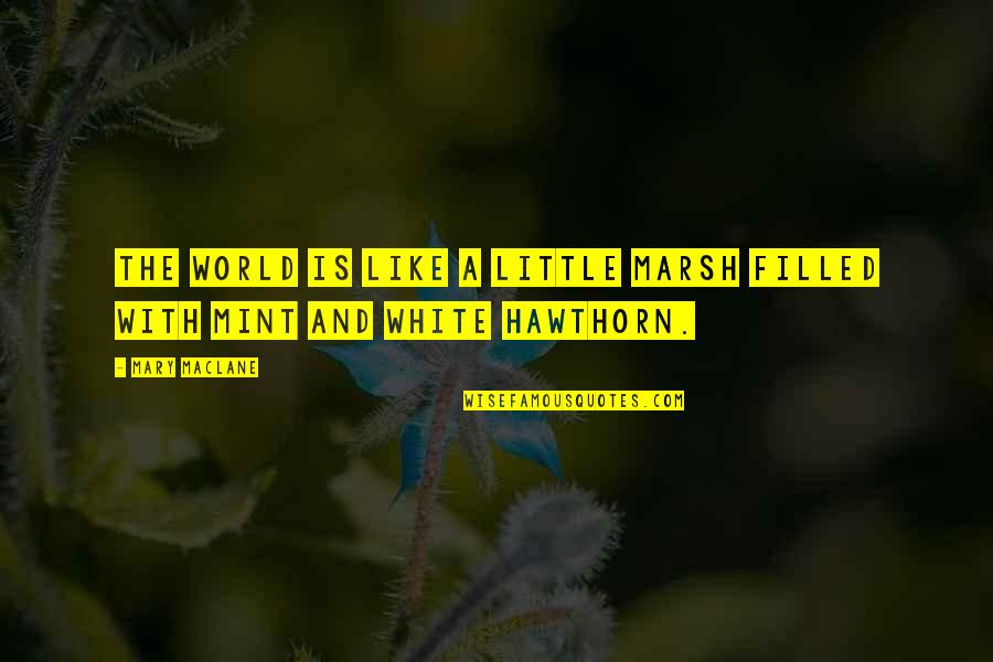 Dumb Congress Quotes By Mary MacLane: The world is like a little marsh filled