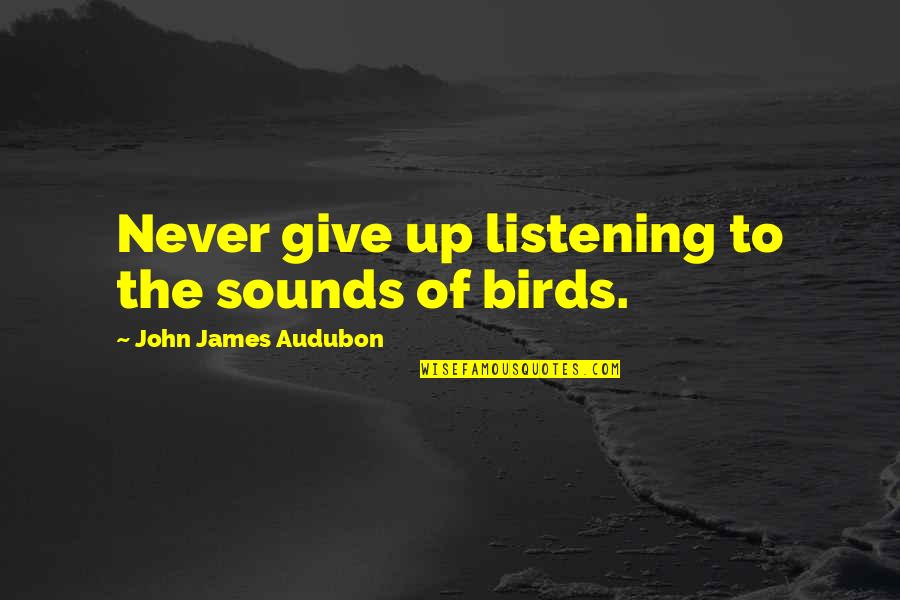 Dumb Dumber And Dumbest Quotes By John James Audubon: Never give up listening to the sounds of
