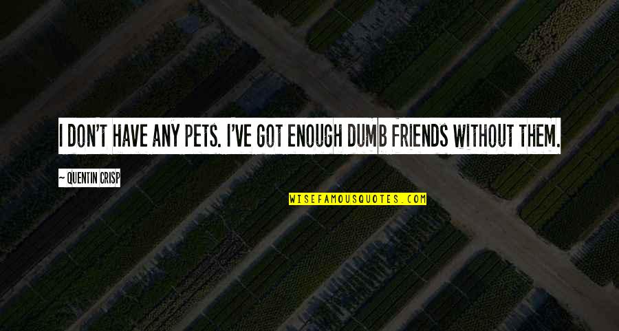 Dumb Friends Quotes By Quentin Crisp: I don't have any pets. I've got enough