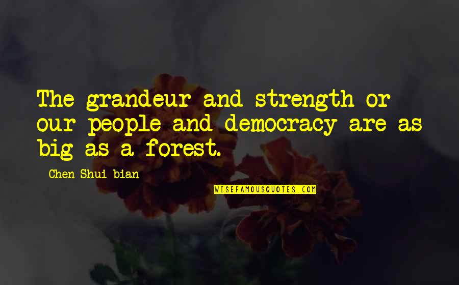 Dumb Yoda Quotes By Chen Shui-bian: The grandeur and strength or our people and
