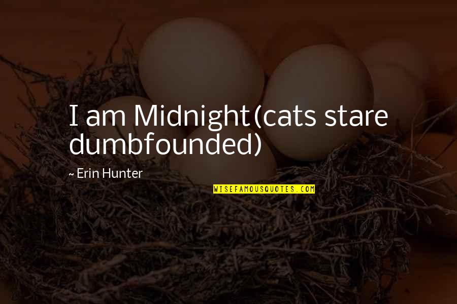 Dumbfounded Quotes By Erin Hunter: I am Midnight(cats stare dumbfounded)