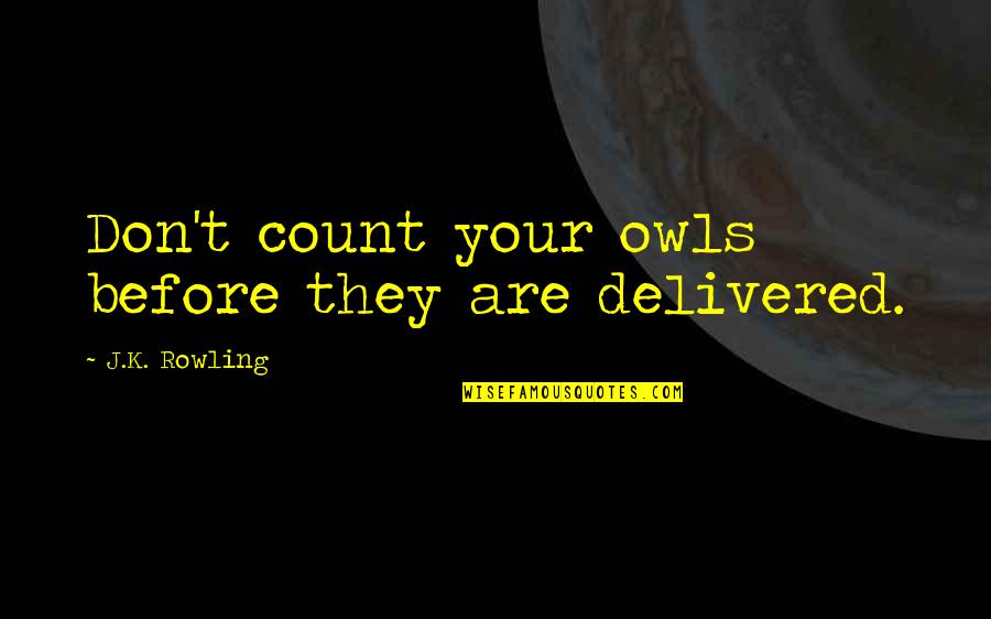 Dumbledore Inspirational Quotes By J.K. Rowling: Don't count your owls before they are delivered.