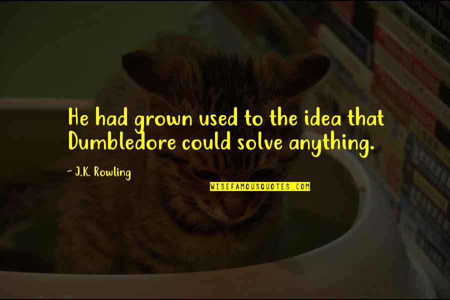 Dumbledore Quotes By J.K. Rowling: He had grown used to the idea that