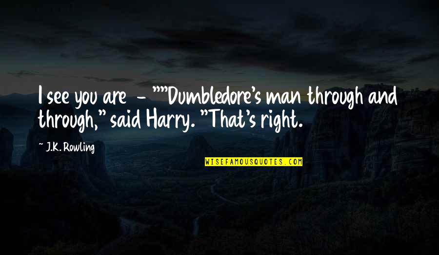 Dumbledore Quotes By J.K. Rowling: I see you are - ""Dumbledore's man through