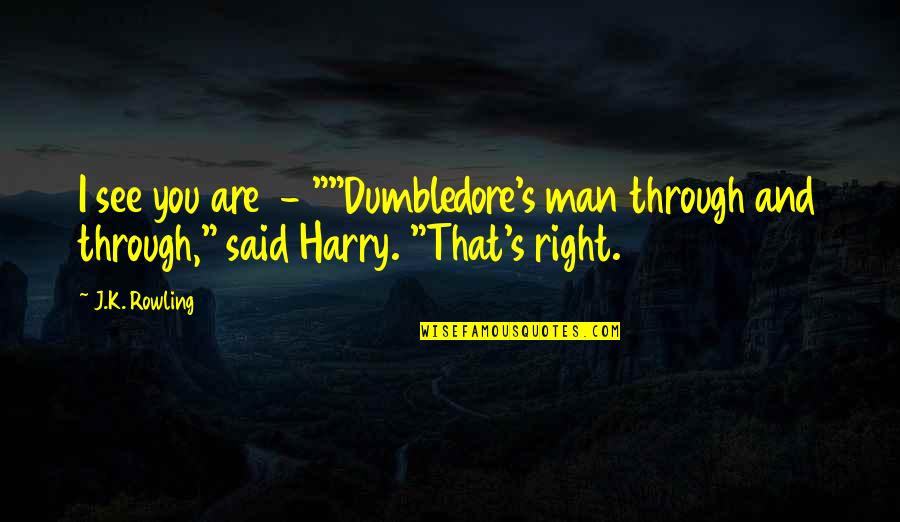 Dumbledore To Harry Potter Quotes By J.K. Rowling: I see you are - ""Dumbledore's man through