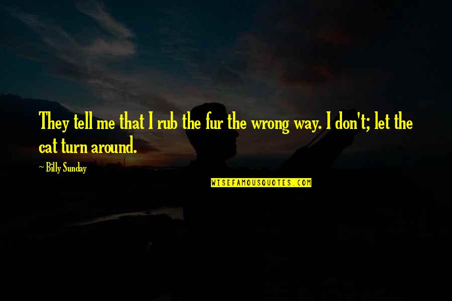 Dumbrava Cu Flori Quotes By Billy Sunday: They tell me that I rub the fur