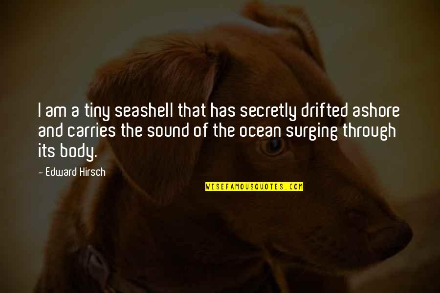 Dumped By Best Friend Quotes By Edward Hirsch: I am a tiny seashell that has secretly