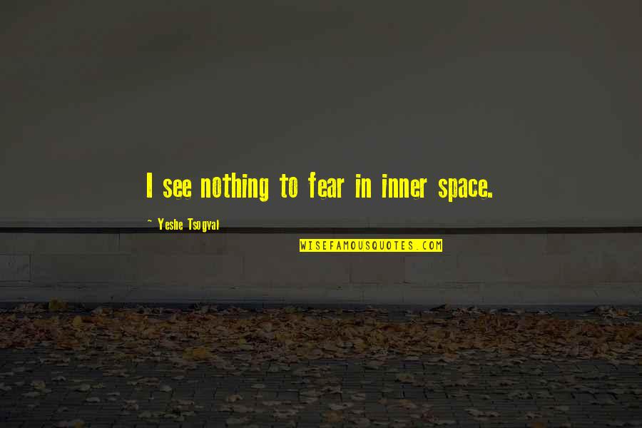 Dumpiest Quotes By Yeshe Tsogyal: I see nothing to fear in inner space.