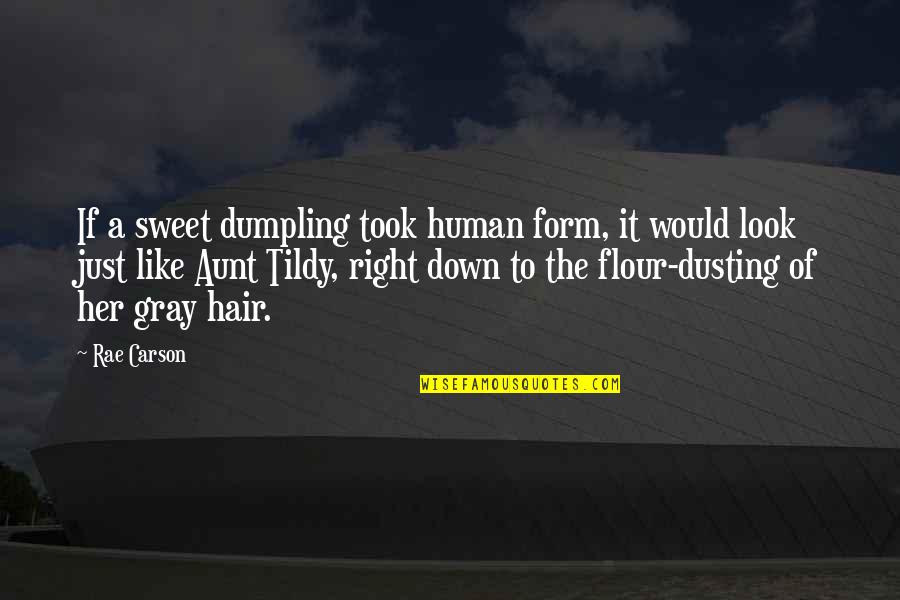 Dumpling Quotes By Rae Carson: If a sweet dumpling took human form, it